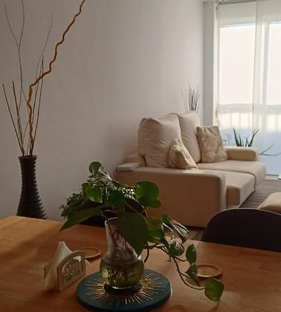 Apartamento Entero De Tres Habitaciones, Cerca De La Playa! Acogedor, Luminoso Y Tranquilo Malgrat de Mar Eksteriør billede